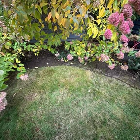 Bush Trimming by Scrub_baller reviewed on October 18, 2025