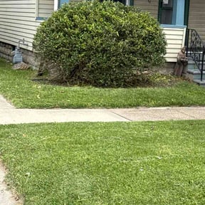 Bush Trimming by Keiths Lawn Service reviewed on May 23, 2026