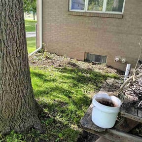 Flower Bed Weeding by Above &amp; Beyond Landscaping LLC reviewed on June 19, 2026
