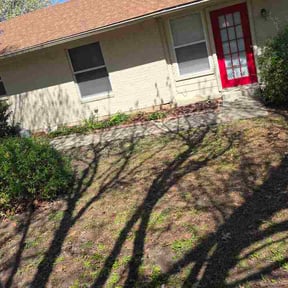 Leaf Removal by The Marchetti Method reviewed on May 2, 2026