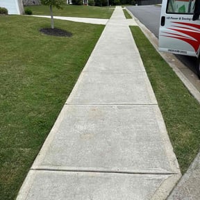 residential landscaping by Tonio's magic hands llc reviewed on September 11, 2024