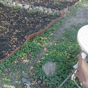 Flower Bed Weeding by Quion's Multi Services reviewed on November 22, 2025