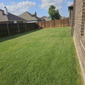 yard care by Three E's Lawn Care LLC. reviewed on December 17, 2025