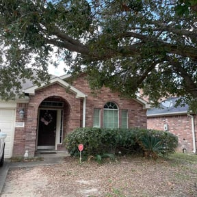Bush Trimming by HTx Landscaping Services reviewed on August 15, 2025
