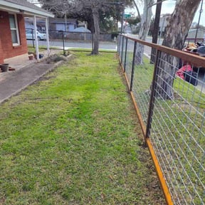 Leaf Removal by Morene Garcia and Rena Patterson reviewed on July 19, 2025