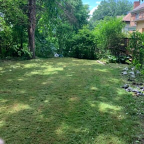 Flower Bed Weeding by John's Lawn Care reviewed on August 15, 2025