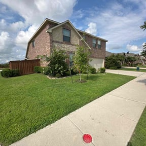 grass cutting by Country Cuts Landscapes &amp; Renovations  reviewed on August 19, 2025