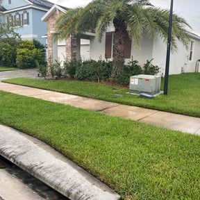 yard service by No Moore Grass reviewed on November 24, 2025