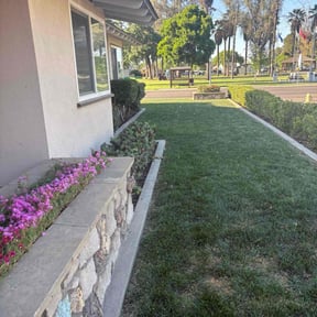 landscaping services by Enterprise All Around Services reviewed on August 17, 2025