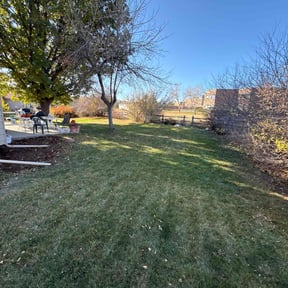 Leaf Removal by Medina's maintenance reviewed on November 24, 2025