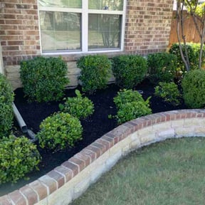Mulching by Mahan lawn care reviewed on August 15, 2025