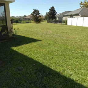 yard work by Grays lawncare reviewed on November 27, 2025