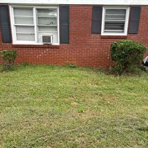 Bush Trimming by Top Cut professional lawn services reviewed on October 19, 2025