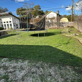 Leaf Removal by Green Hands Landscaping reviewed on August 20, 2025