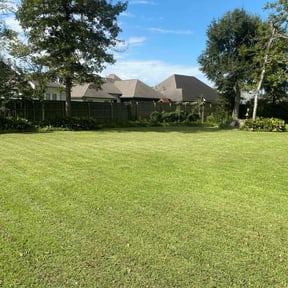 yard care by Taylorscapes reviewed on November 19, 2025