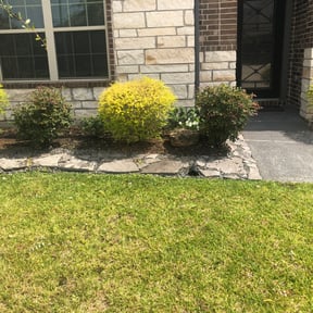 Bush Trimming by Services By Andy LLC reviewed on August 17, 2025