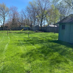 yard care by CostCutting lawncare reviewed on August 16, 2025