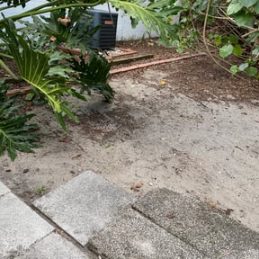 Leaf Removal by Lime Tails reviewed on September 22, 2025