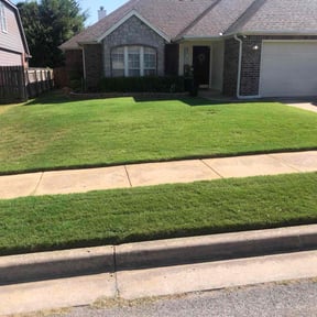 yard work by Álvarez Landscaping & Remodeling LLC reviewed on August 19, 2025