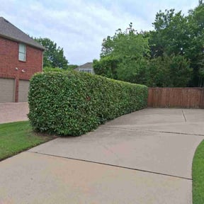 Bush Trimming by Big O Lawn Care reviewed on July 8, 2026