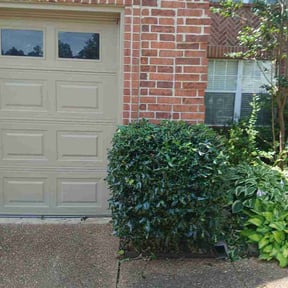 Bush Trimming by Caguas landscaping reviewed on July 2, 2026