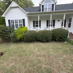Bush Trimming by Demo King LLC reviewed on July 8, 2026