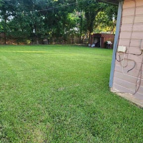 yard work by Green Forrest Lawn Care reviewed on June 25, 2025