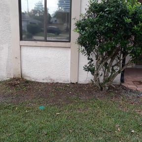 Leaf Removal by Forest Green Lawn &amp; Landscaping, LLC reviewed on September 6, 2025