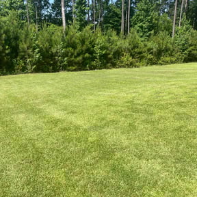 landscaping by Kevin Rodgers reviewed on November 19, 2025