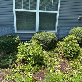 Bush Trimming by J and M Lawn Service and More LLC reviewed on August 19, 2025