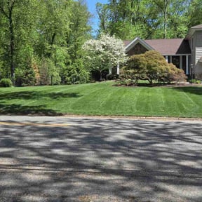 gardening service by Toms landscaping reviewed on April 13, 2024