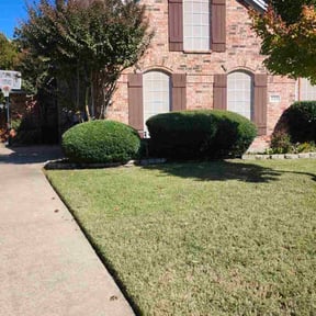 Bush Trimming by Garcia lawn care reviewed on October 26, 2023