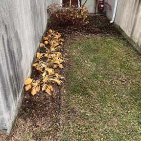 Flower Bed Weeding by Eveready Solutions LLC reviewed on November 25, 2025