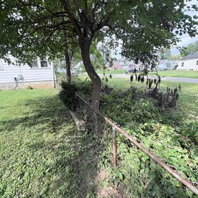 Bush Trimming by ReShard and Zach LawnCare reviewed on August 30, 2026