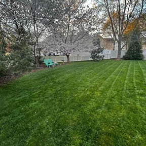 yard service by Cream of the Cut Lawn Care reviewed on November 23, 2025