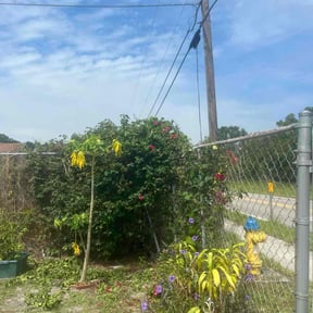 Bush Trimming by LaBriere Competition Services reviewed on January 20, 2026