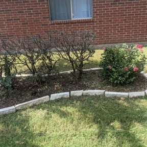 Bush Trimming by Manicure Lawn Care reviewed on August 15, 2025