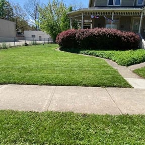landscaping by Adam Wisdom reviewed on August 20, 2025