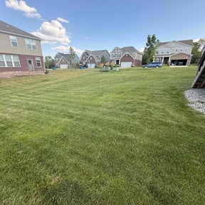 lawn maintenance by B and T Lawn Care reviewed on August 13, 2025