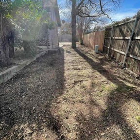 Leaf Removal by Copperhead lawn care reviewed on June 27, 2026