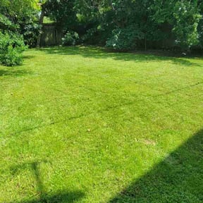 gardening service by LoneStar Mow Pros reviewed on July 28, 2023