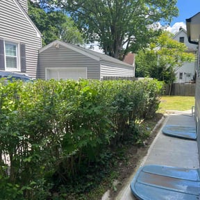Bush Trimming by Avon Landscaping LLC reviewed on August 21, 2025