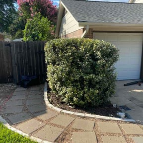 Bush Trimming by Luisito Landscape reviewed on June 25, 2026