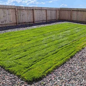 landscaping by None reviewed on August 16, 2025