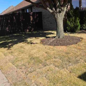 Leaf Removal by Q-mows-best reviewed on August 4, 2026
