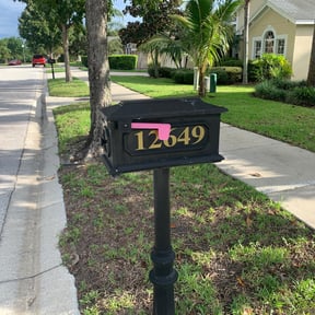 Bush Trimming by Shorty's Lawn Services reviewed on August 17, 2025