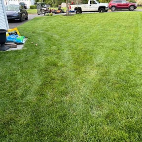 landscaping by Mieozzies Lawn Services LLC reviewed on August 18, 2025