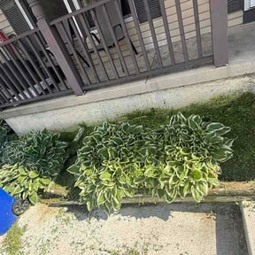 Flower Bed Weeding by New river lawncare  reviewed on April 21, 2026