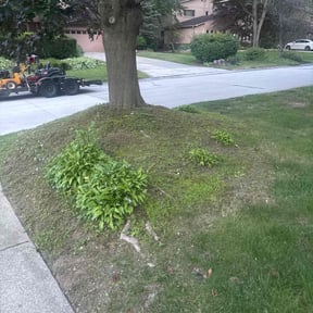 Flower Bed Weeding by Under th3 sun landscaping reviewed on September 13, 2021