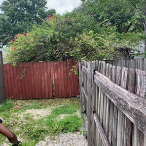 Bush Trimming by JH Landscape LLC reviewed on November 21, 2025